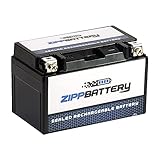 Rechargeable YTZ10S-BS High Performance Motorcycle Battery - Maintenance Free - Replacement Sealed...