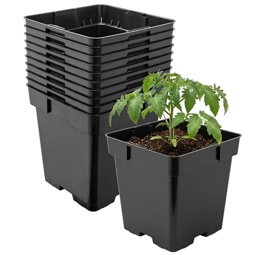 Garronda Pflanztopf Kunststoff 16 x 16 x 16 cm (3L) 10er Set eckig mit Drainagelöchern Blumentopf robust Pflanzentopf für Garten Gewächshaus Balkon Anzucht Innen Außenbereich Schwarz GD-0199