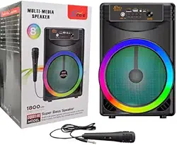 Caixa de Som Portátil Bluetooth, 8 Polegadas, Com Microfone para Karaokê, Luz LED, Rádio FM, USB, TWS