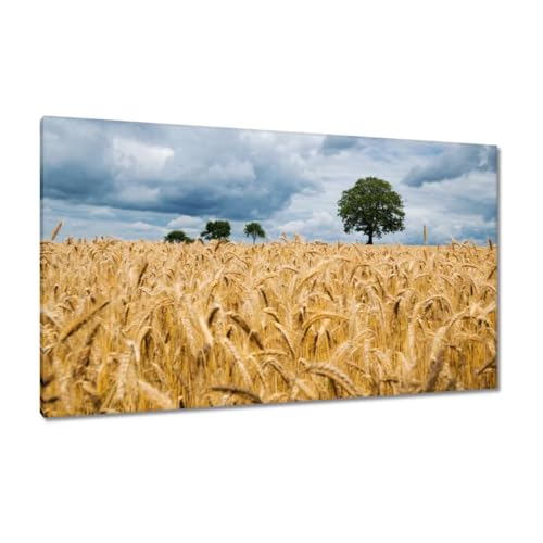 Peinture imprimée sur toile décoration murale salon tableau paysage 120x70 H9957M