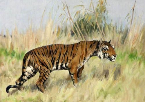 Kit de pintura por números para relajarse en casa pintando un lienzo de tigre de Bengala