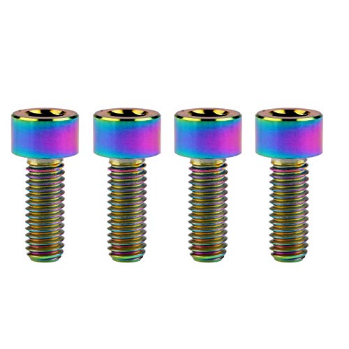 Tornillos hexagonales de titanio M6 x 15 mm Ranibow para chasis y motor