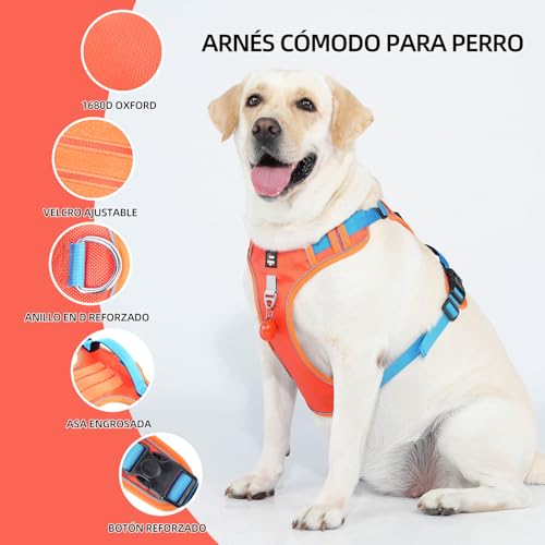 Pecheras para perros 14 Imagen adicional