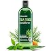 Organic Tea Tree Oil Conditioner - Hydrating Conditioner for Dandruff Hair Loss Itchy and Dry Damaged Scalp Treatment - Paraben and Sulfate Free - with Manuka Honey Coconut Oil and Stem Cells - 16oz