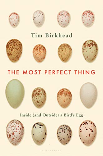 The Most Perfect Thing: Inside (and Outside) a Bird’s Egg