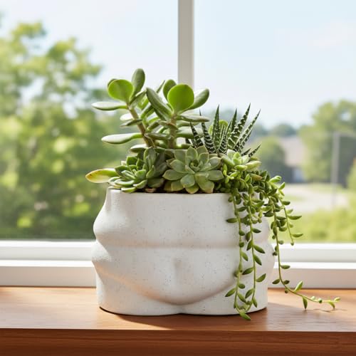 Misijuer Ceramic Pot Belly Planter-Body Form Flower Pot with Draniage