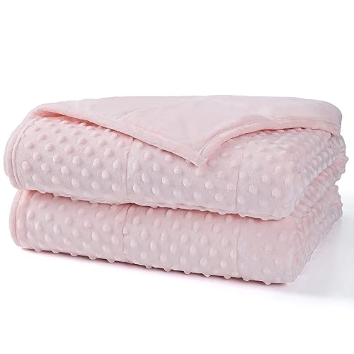 Alomidds Weighted Blanket (60"x80",20lbs Queen Size - Pink), Weighted Blankets for Adults, Breathable Soft and Comfort Minky, Heavy Blanket Microfiber Material with Glass Beads