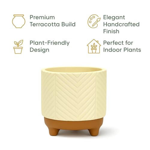 Image of Urban Plant Terracotta Pot - Trendy Planter for Modern Home & Garden Spaces (Emerald Terracotta Pot)