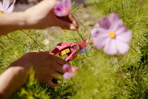 Fiskars Inspiration Bypass-Gartenschere Ruby für frische Äste und Zweige, Länge 20 cm, Karbonstahl/Antihaftbeschichtet, Pink/Orange, P26… – Ansicht 5