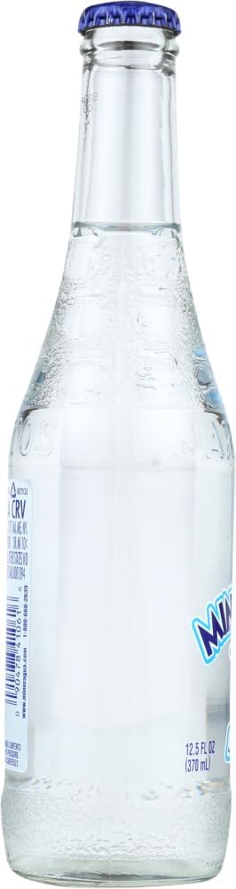 Jarritos Mineragua Mexican Soft Drink 12 fl oz Glass Bottles 12 Pack