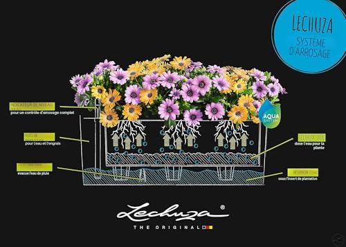 Lechuza – Pot de Fleurs d’Extérieur – Balconera Color 50 – Réserve d’Eau Intégrée – Coloris Blanc – 50 x 19 x 19 cm – vue 5