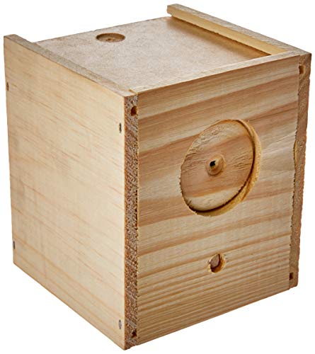 Tudo Pet Ninho De Madeira Pinus Manon Para Cães