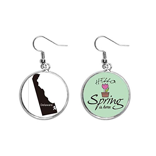 Pendientes del mapa de USA de Delaware el regalo de joyería decorativa