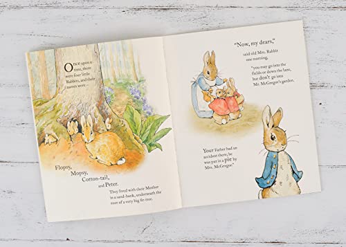 Image of The Tale of Peter Rabbit Picture Book