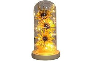 N*A NA Sunflower in Glass Dome
