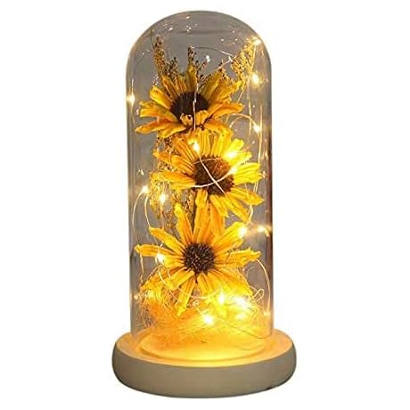 N*A NA Sunflower in Glass Dome