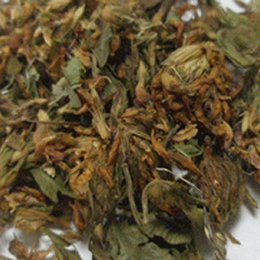 カリス成城 レッドクローバー ホール WH 500g やわらかく 甘い香りのするハーブ ハーブティー 癒し 良い香り ティータイム オススメ商品