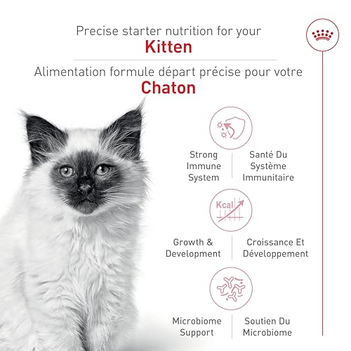 Royal Canin Feline Health Nutrition Dry Kitten Food, Supports Digestive Health, Immune Support and Healthy Energy, 3 lb Bag image 6