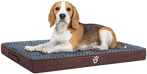 Mfox Orthopedic Foam Dog Bed for Small Dogs Up to 35lbs - Orthopedic Egg-Crate Foam with Removable Washable Cover