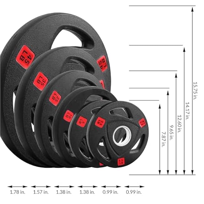 Olympic Cast Iron 2-Inch Weight Plate for Strength Training & Weightlifting, Rubber Coate Style, Multiple Weights Available