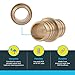SharkBite 3/4 Inch Crimp Coupling, Pack of 10, Brass Plumbing Fitting, PEX Pipe, PE-RT, UC016LFA10