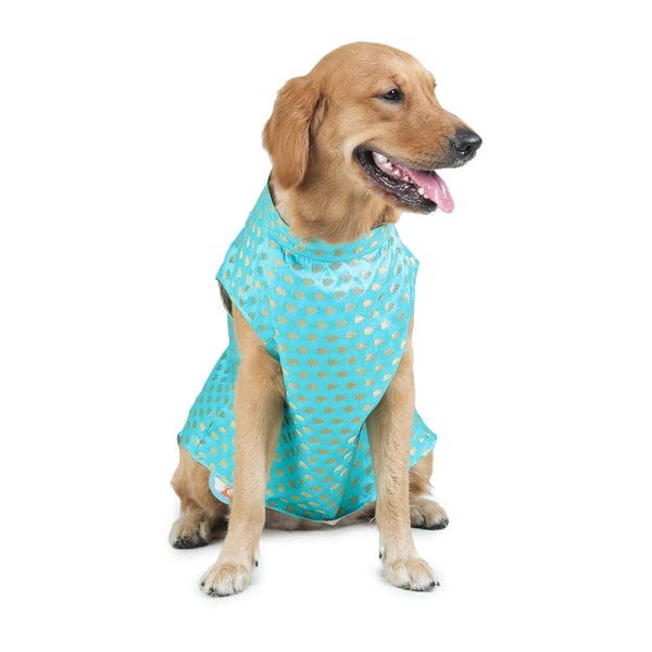 Barks & Wags Dog Sherwani or Dog Wedding Dress, Pet Outfit for Dogs, Dog Clothes, Elegant Dog Costume, Dog Dress for Male Dogs (XL, Blue)