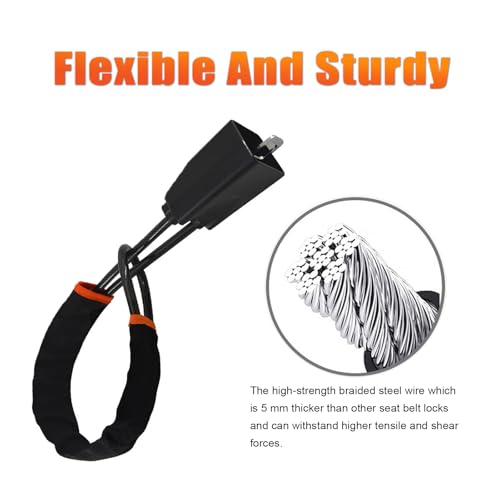 DualGuard Steering Wheel & Seat Belt Lock