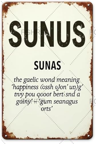 JIUFOTK Letrero metálico con el significado de la palabra irlandesa Sonas, letrero de hojalata de aluminio, accesorios metálicos, póster, regalo. 8x12 pulgadas