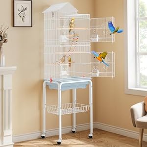 YITAHOME 62 inch Metal Bird Cage, Large Parakeet Cages for Parrot, Cockatiel, Lovebird, Pigeon with Roof Top, Rolling Stand and Hanging Toys, White