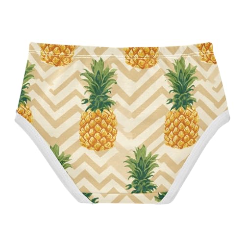 Wusikd Pineapple Geometric (2) Girls' Underwear Cotton Girls Briefs Soft Toddler Underwear 2T2