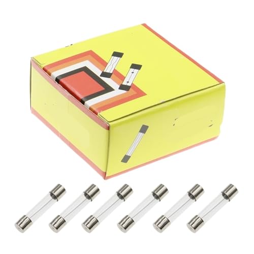 Fusibles à tube en verre 6x30mm 250V lot de 100 pièces avec ampérages assortis du 0.5A au 20A F20A