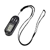 DELITLS Tragbares Radio, Heimbüro, LCD-Display, Entertainment, voreingestellter Stereo-Sound, FM-Tuner…
