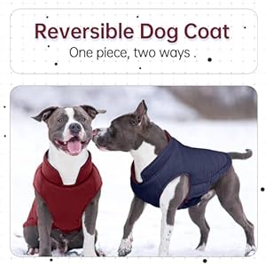 Lelepetdogpufferjacketdogcoatreversibledogjacketwarmdogwintercoatwindproofdogwintervestlightweightdogcoldweathercoatxlargedogcoatwithhookloopdogcoatsforlargedogs Urban Country Home Decor Lelepet dog puffer jacket dog coat reversible dog jacket warm dog winter coat windproof dog winter vest lightweight dog cold weather coat xlarge dog coat with hook loop dog coats for large dogs urban country home decor