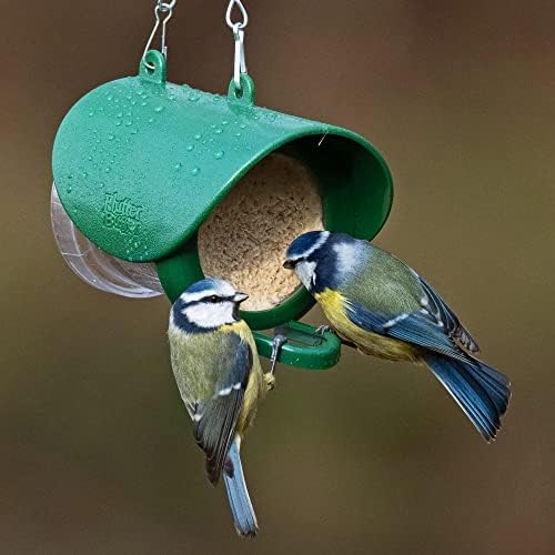 Jacobi Jayne FB-PRF6 - Flutter Butter EcoRefills Bird Food, Fruity, 6
