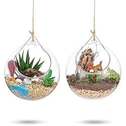 Maceteros Colgantes Originales Plantas Colgantes de Aire 2 Piezas Portavelas de 4 Inches Cristal Terrario Portavelas Contenedores de Plantas de Vidrio para el Diseño de Bricolaje de Jardín de Bodas en Casa
