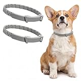 2 Stk. Zecken- und Flohschutz-Halsband für Hunde, Grau, Wasserfest, Langanhaltender Schutz bis zu 8 Monate, Passt zu Hunden aller Größen, Ideal für Außenaktivitäten, Zeckenhalsband