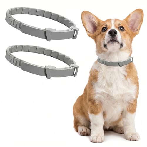 Getreidefreies katzenfutter trockenfutter test