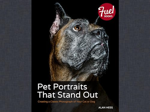 Pet Portraits That Stand Out: Creating a Classic Photograph of Your Cat or Dog