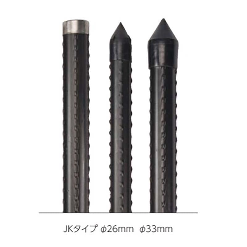 イノッチ様用　真竹 苗発送　鑑賞用・食用・工芸用2本組 ビニール袋入 NC-2P 苗箱用 ナエキャッチ 一本爪ロッド 二本爪