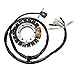 ElectroSport ESG443 Stator Honda XR650R