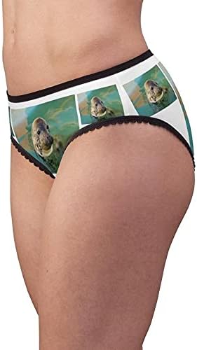 Harbour Seal Panties,Harbour Seal Underwear, Briefs, Cotton Briefs, Funny Underwear, Panties For Women