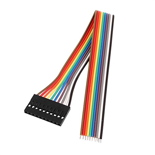 Cable Jumper Aexit 10P Hembra 20 cm miniatura 1