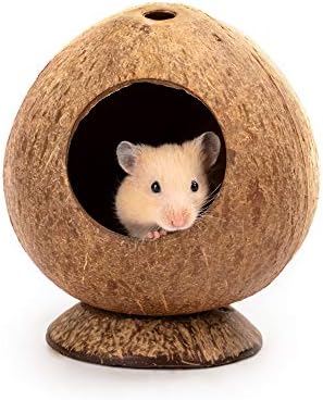 andwe Coconut Hut Hamster House Bed for Gerbils Mice Small Animal Cage Habitat Decor