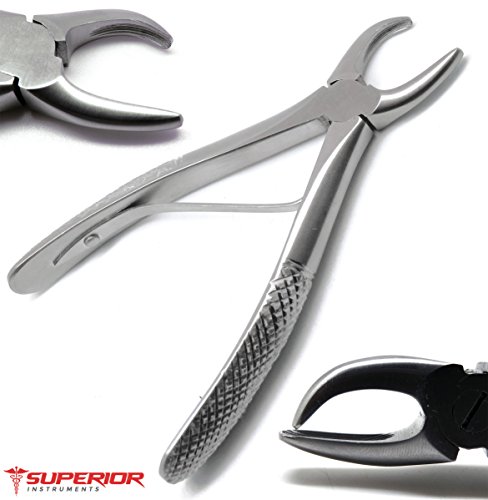 Dental Tartar Forcep 4.5" Calculus Remover Tooth Scraper Veterinary Instrument