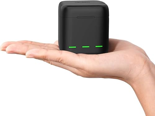 TELESIN GoPro Hero 13 ubNpobe[[dAgvXbg USB [dP[XAType-C R[hAobe[ L[P[XtAIWi Go Pro 13 ANZT[ƊS݊