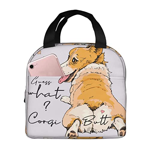 R[M[̂K ۉۗ₨ٓ e ܂肽 y RpNg ȃA~f |Pbgt  jp ʋ΁AʊwAsNjbNɓKĂ܂