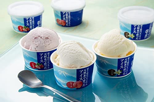 xmR̃oiWEVRōACX 12Zbgi×4Aoj×4As[`×4j