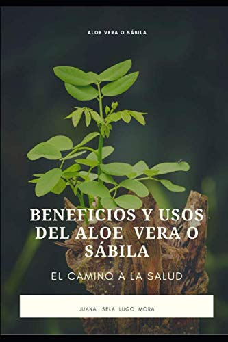 aloe vera direkt auf haut Bio Aloe Vera Gel | Reines Aloe Vera gel