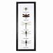 World Buyers DRAGONFLY FRAME WITH 5 MOUNTED 5.75x14.75 L