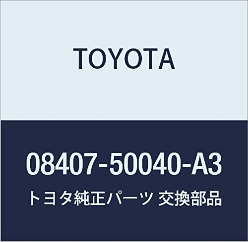 TOYOTA (toyota) Genuine Parts nanba-hure-muhuronto・riyasetto Part No 08407 – 50040 – A3
